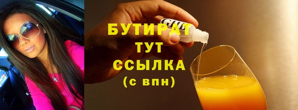 молекула духа Богданович