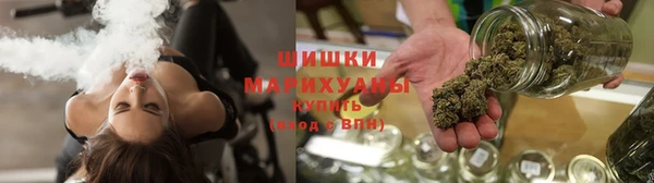 гидра Белокуриха