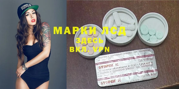 молекула духа Богданович
