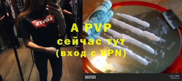 молекула духа Богданович