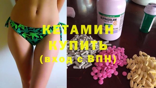 молекула духа Богданович