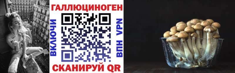 Псилоцибиновые грибы прущие грибы  купить наркотик  Светлогорск 